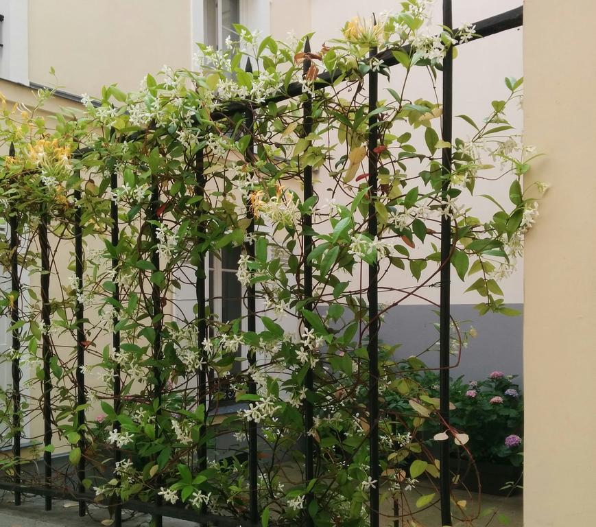 パリ ラ クール デュ サンキエム シャンブル ドット Bed & Breakfast エクステリア 写真